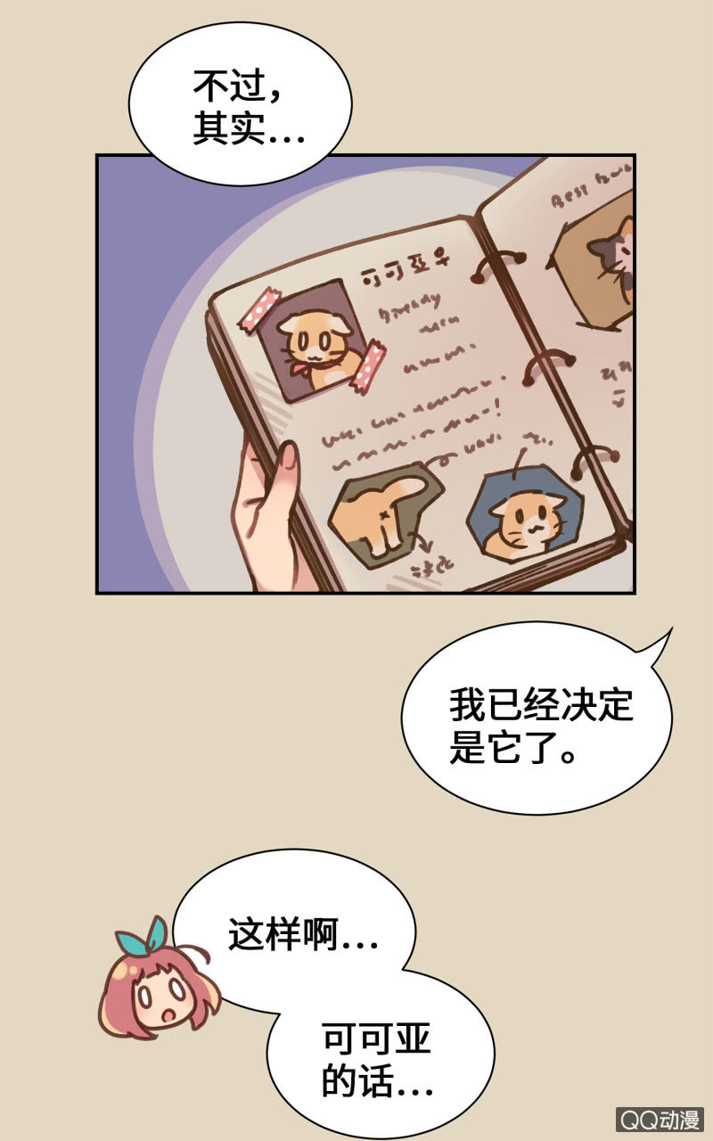 第36杯『独一无二』-第41话