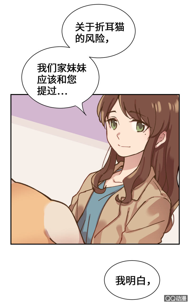 第36杯『独一无二』-第41话