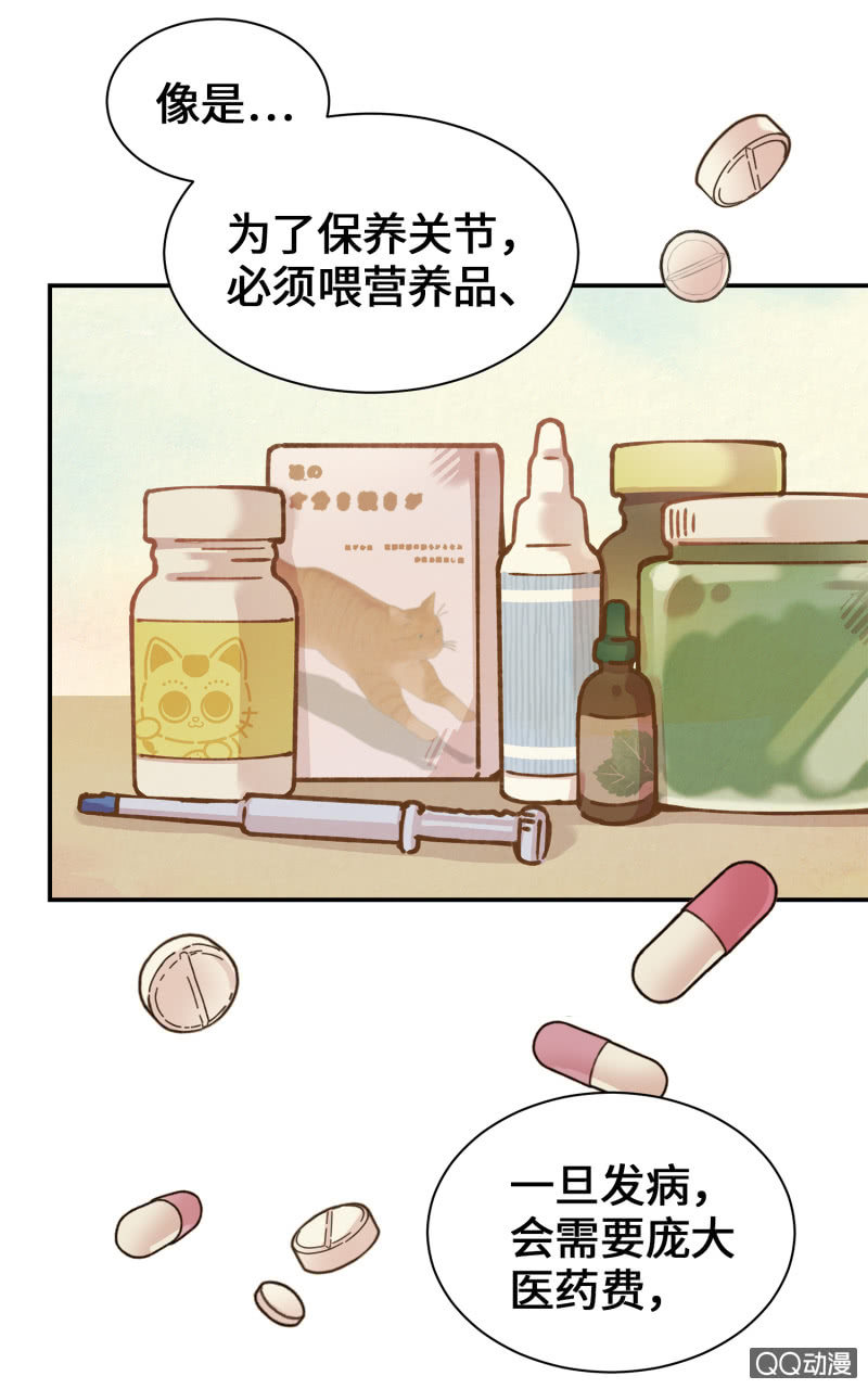 第36杯『独一无二』-第41话