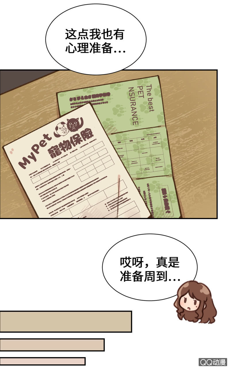 第36杯『独一无二』-第41话