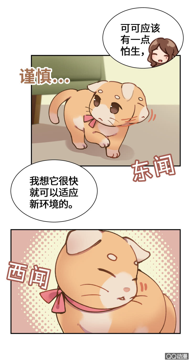 第36杯『独一无二』-第41话