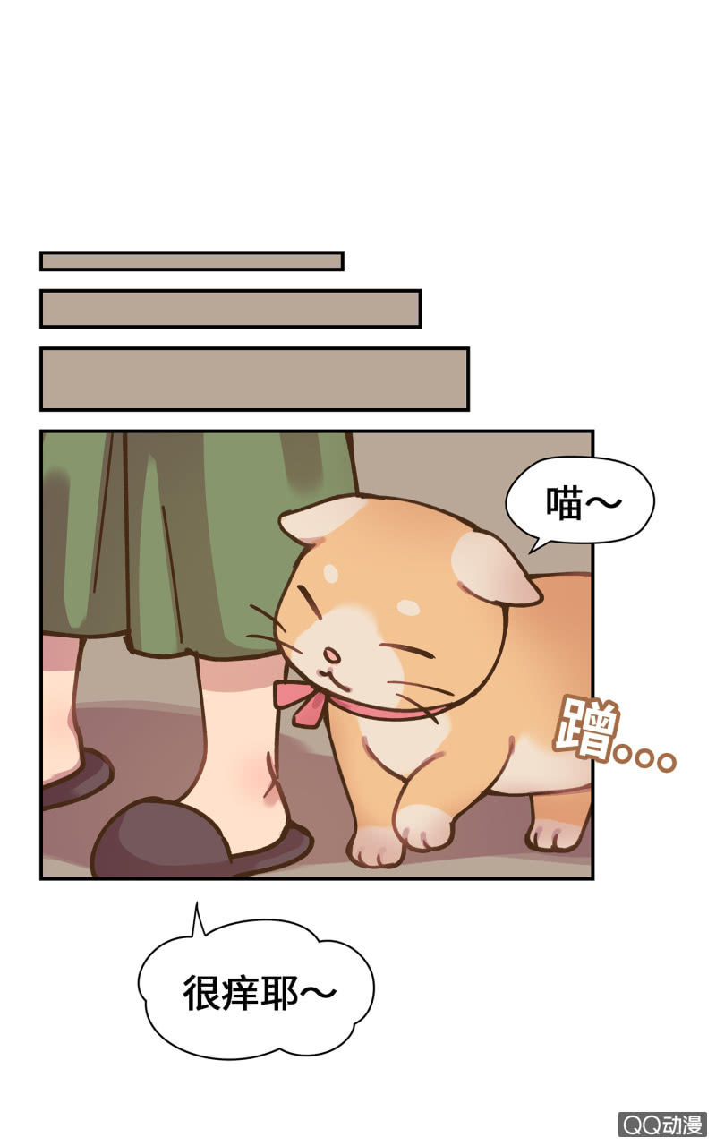 第36杯『独一无二』-第41话