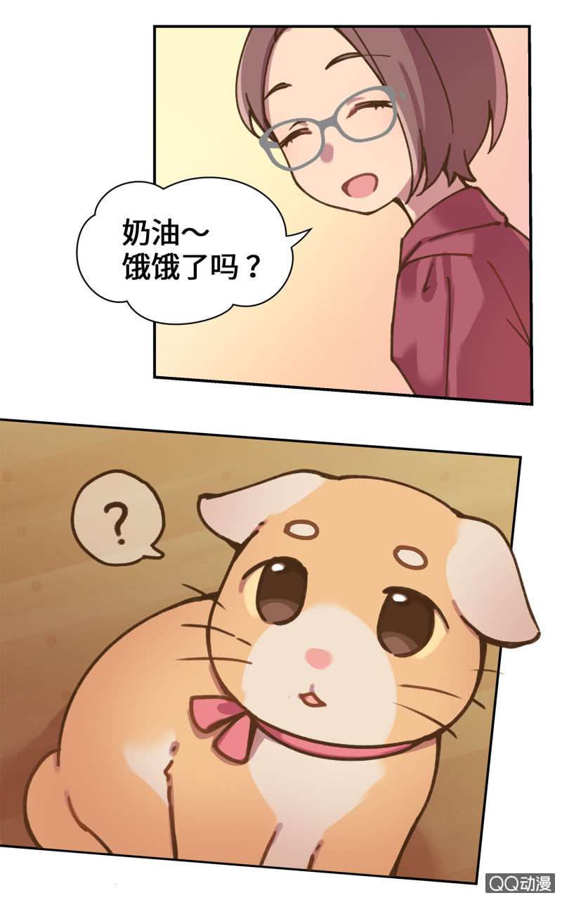 第36杯『独一无二』-第41话