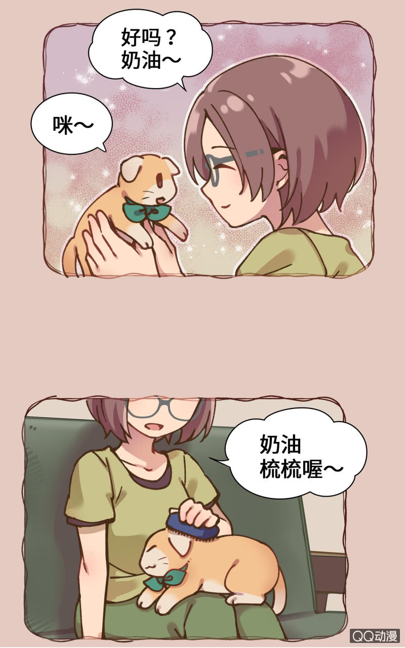 第36杯『独一无二』-第41话