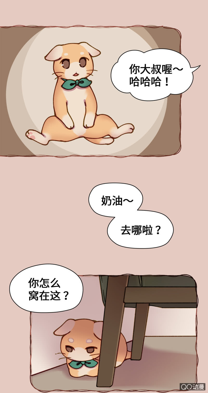 第36杯『独一无二』-第41话