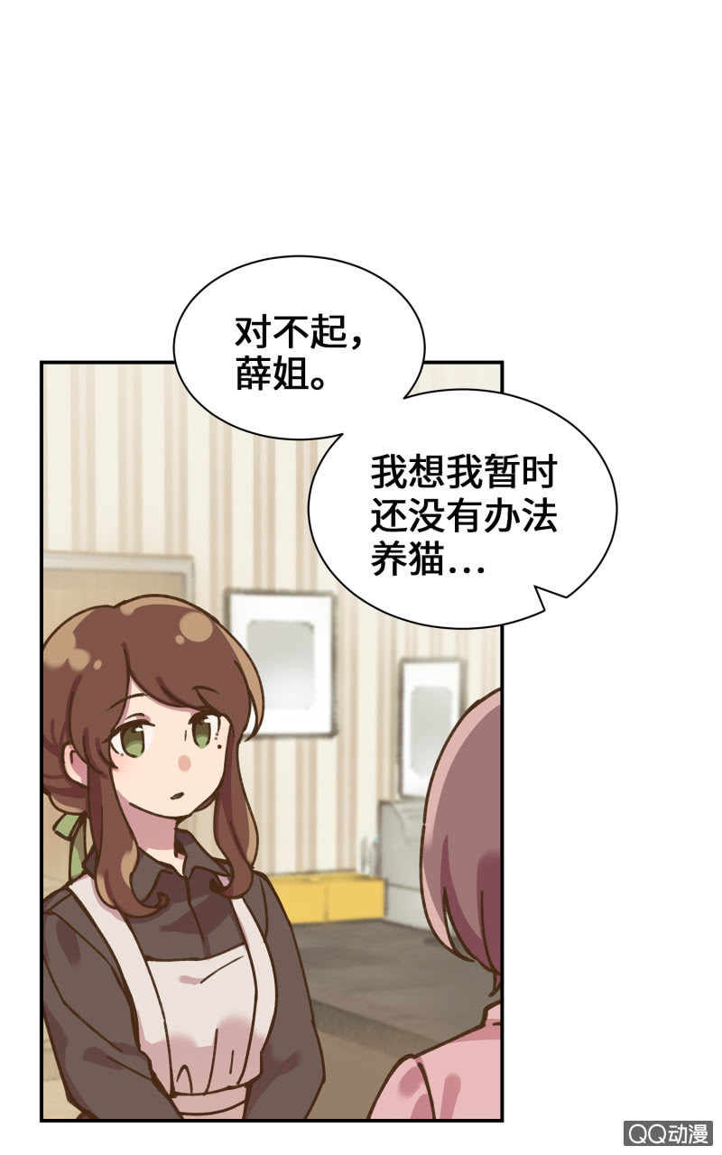 第36杯『独一无二』-第41话