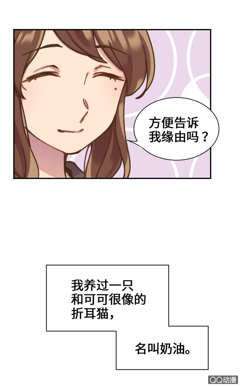 第36杯『独一无二』-第41话