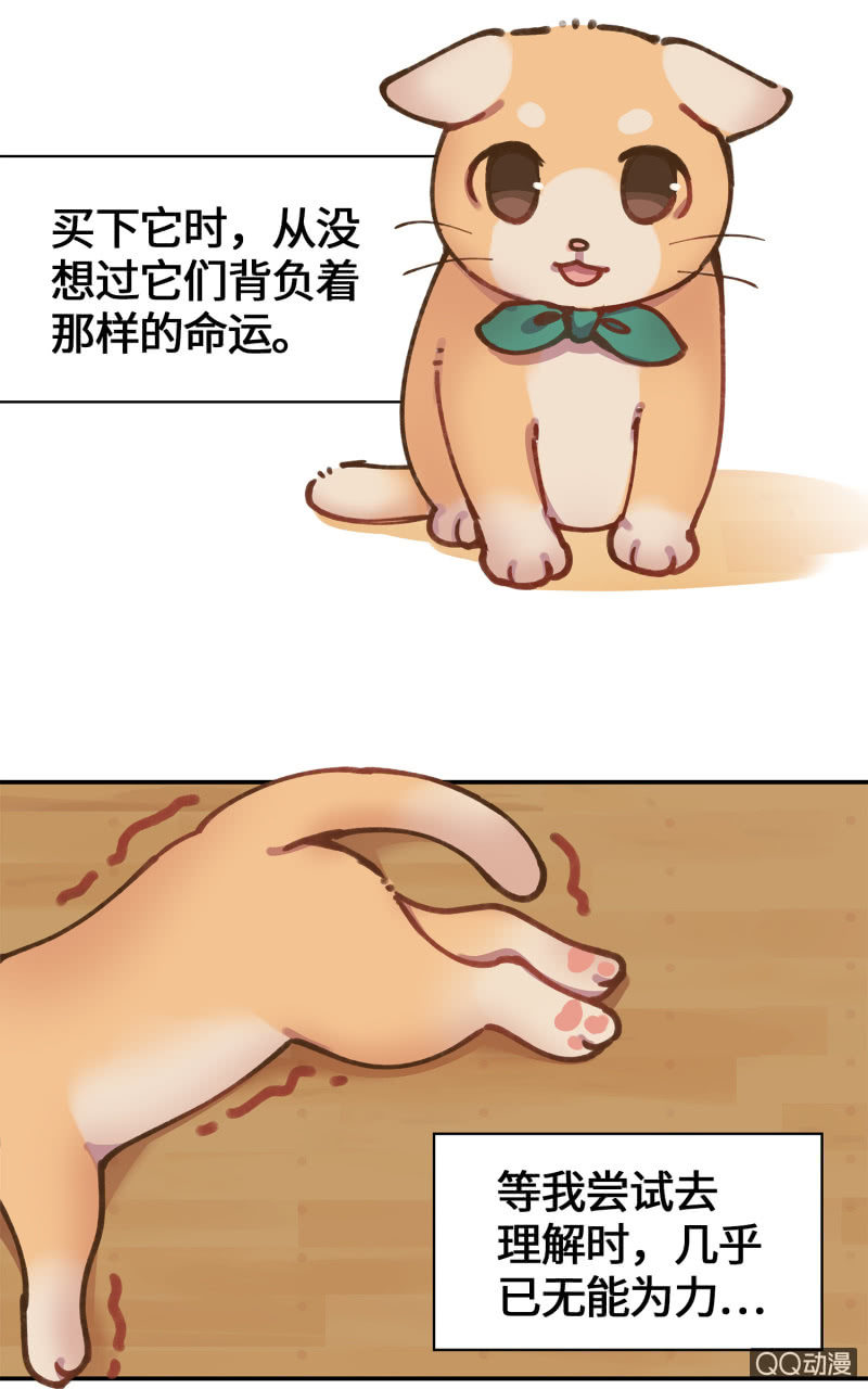 第36杯『独一无二』-第41话