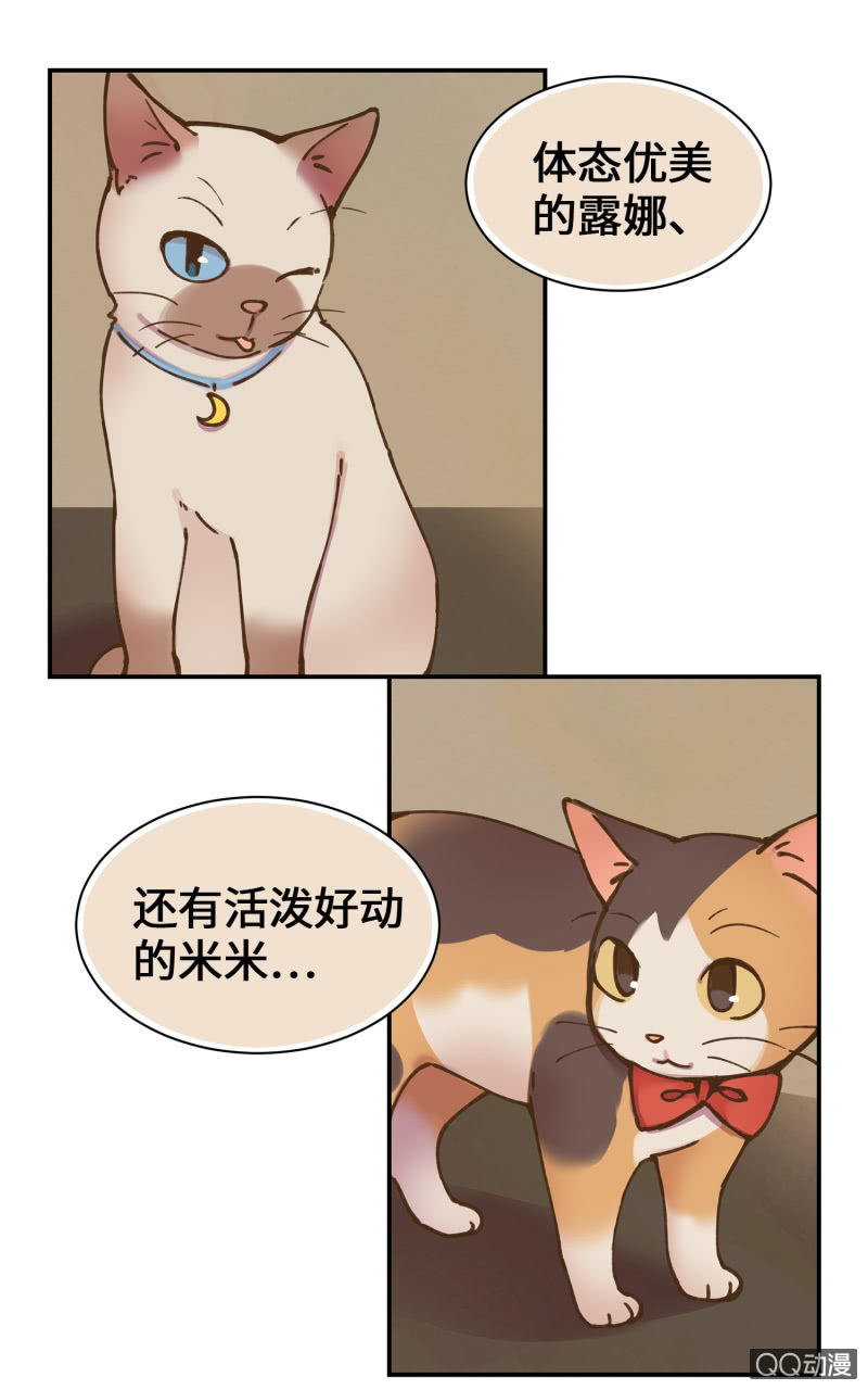 第36杯『独一无二』-第41话