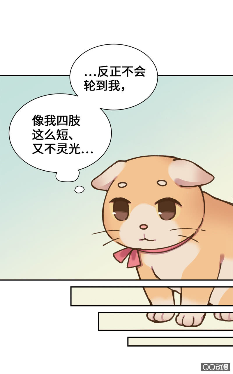 第36杯『独一无二』-第41话