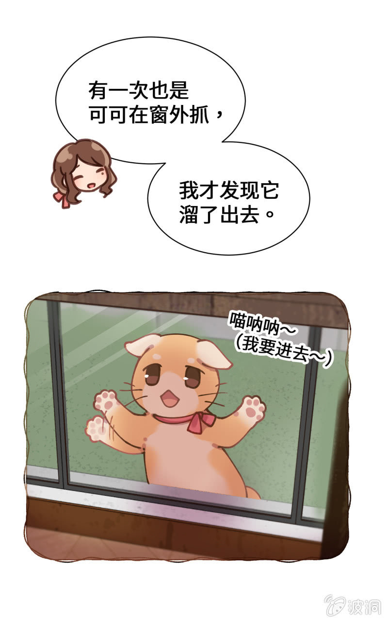 第39杯『走失协寻』-第45话