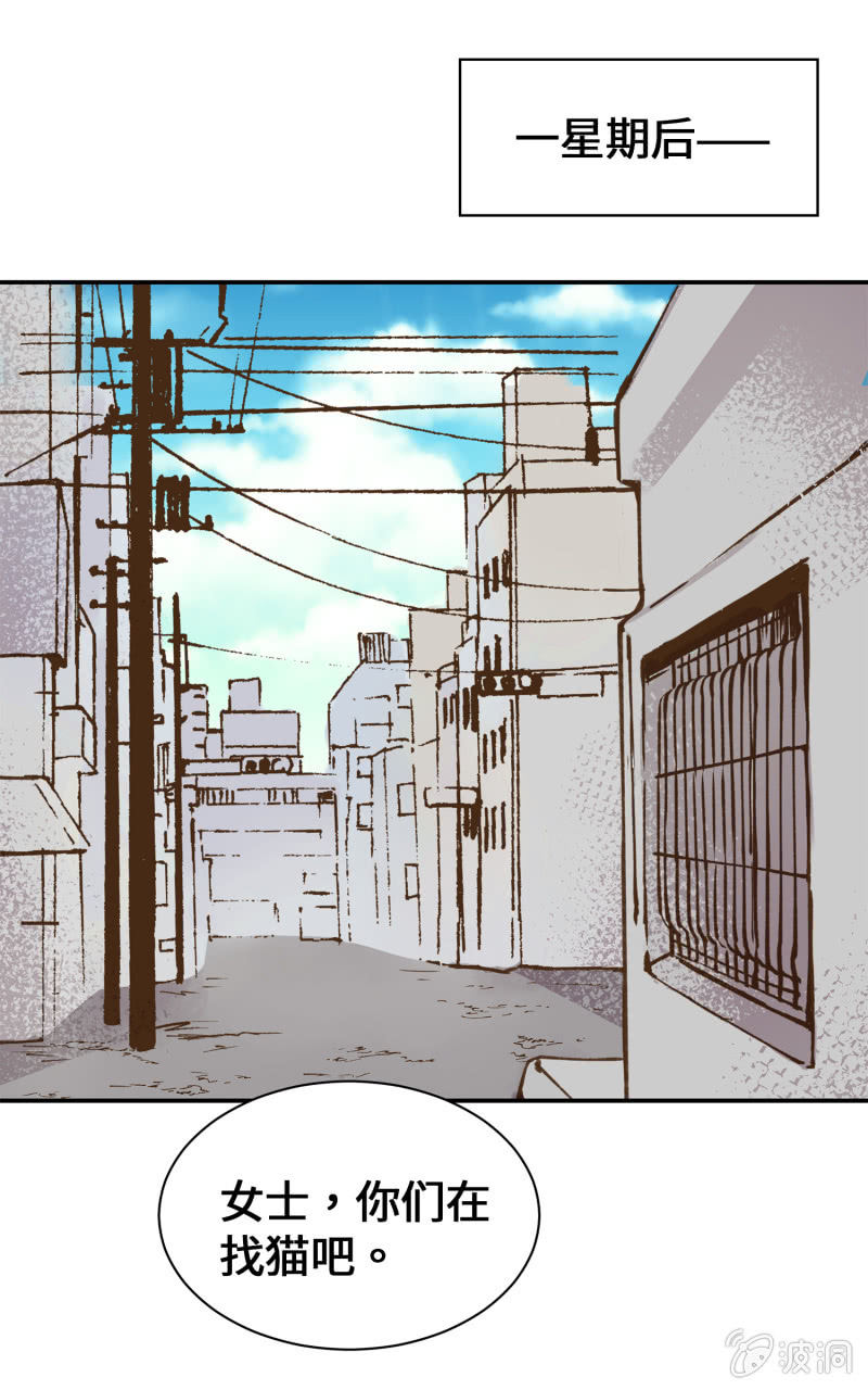 第39杯『走失协寻』-第45话