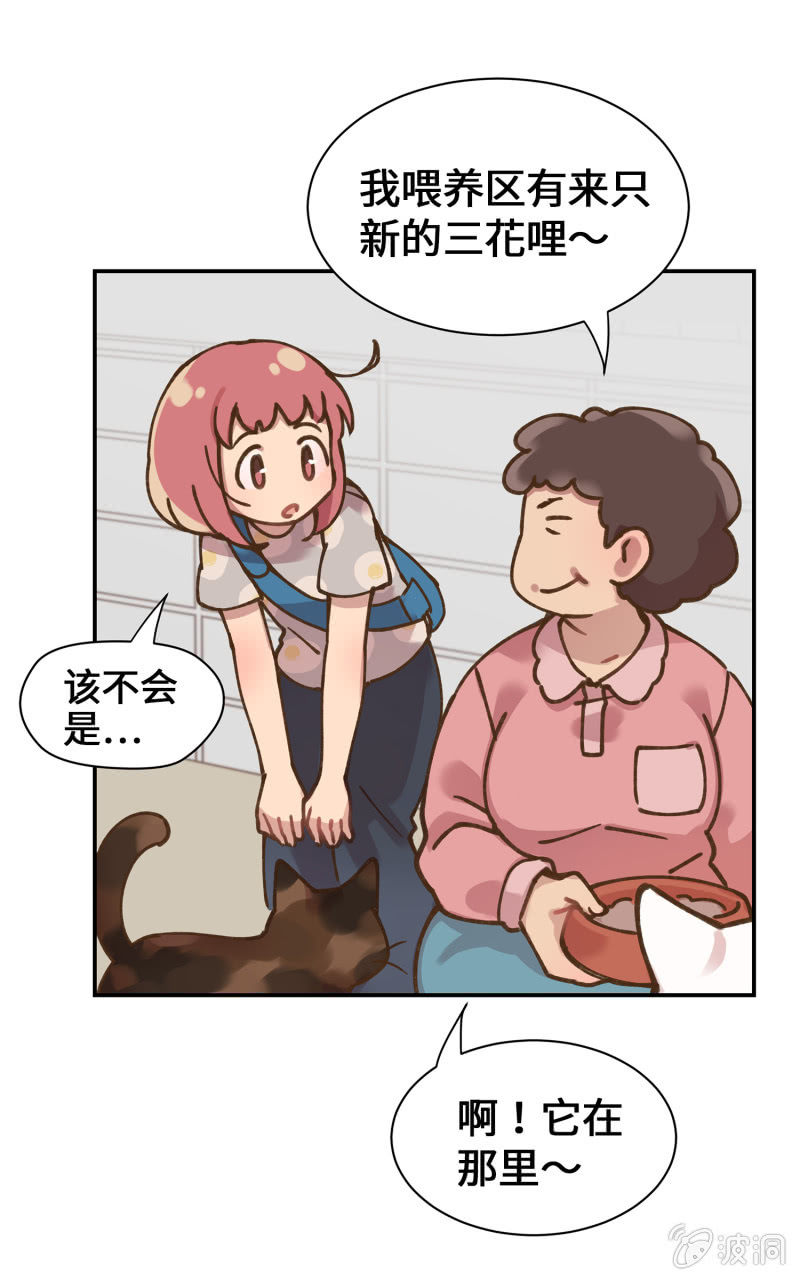 第39杯『走失协寻』-第45话