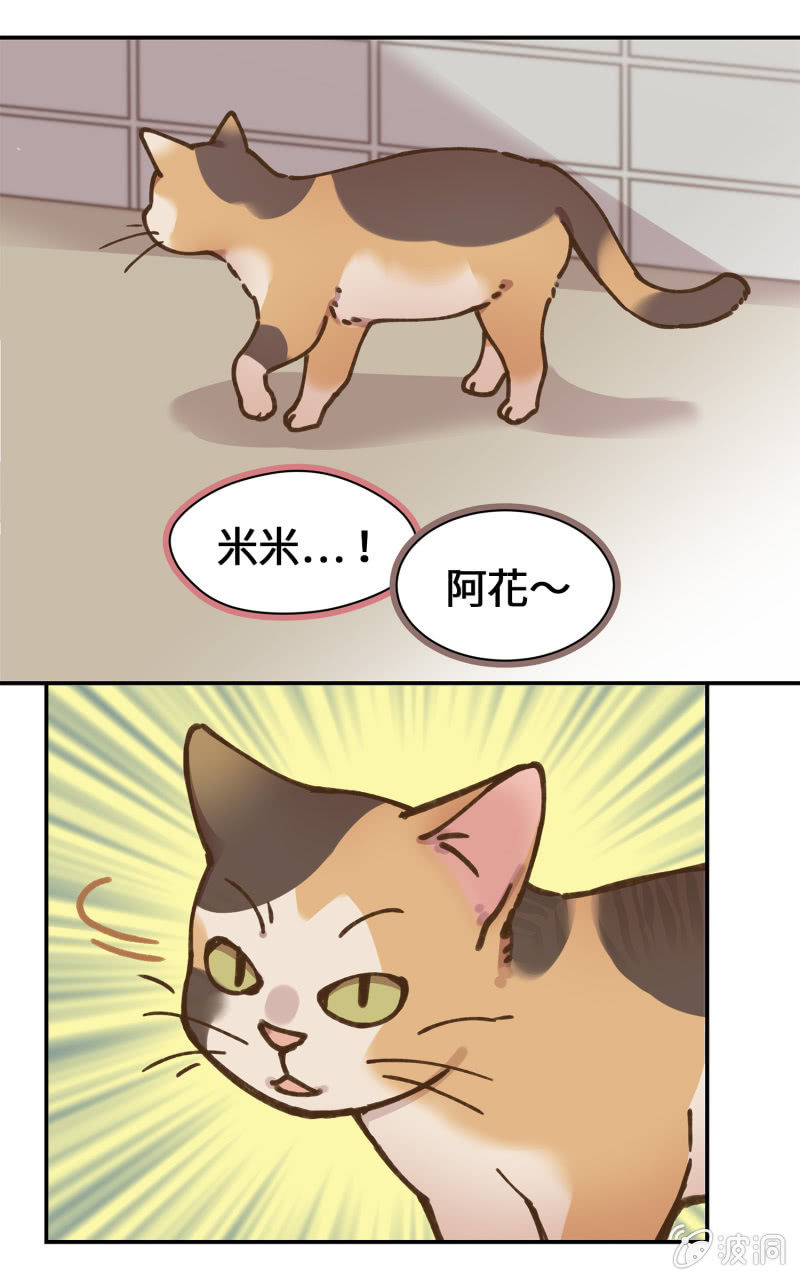 第39杯『走失协寻』-第45话