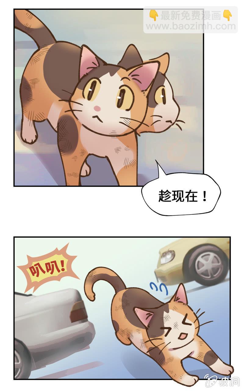 第39杯『走失协寻』-第45话