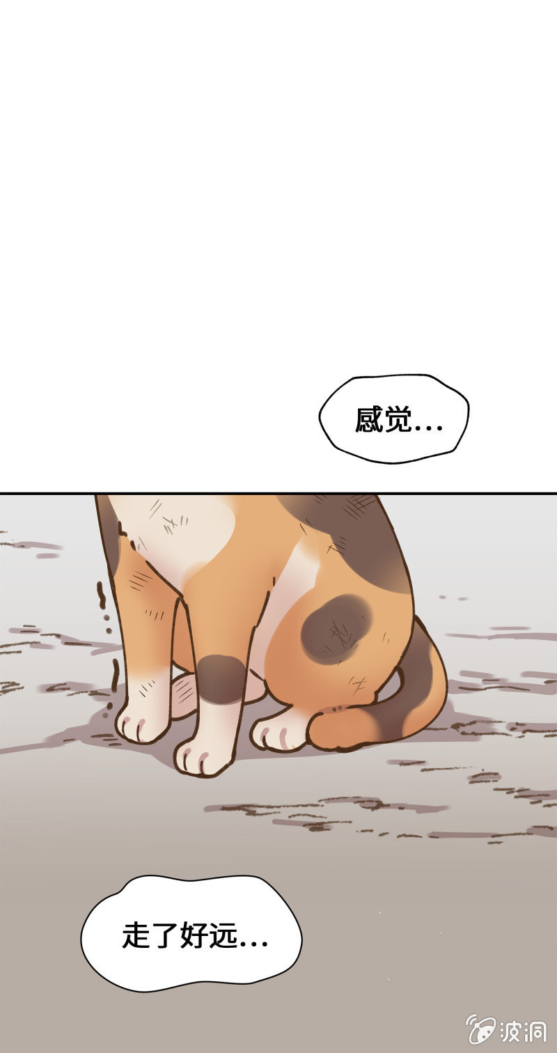 第39杯『走失协寻』-第45话