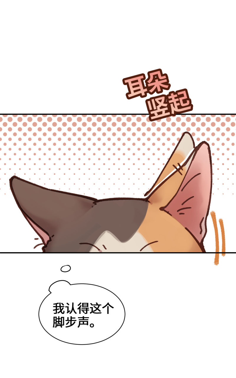 第5杯『米米前辈喵！』-第7话