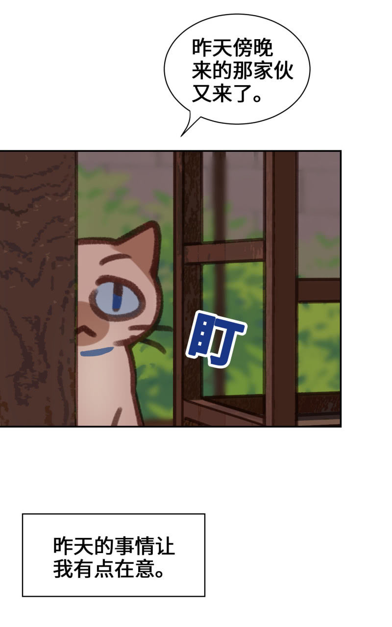 第5杯『米米前辈喵！』-第7话