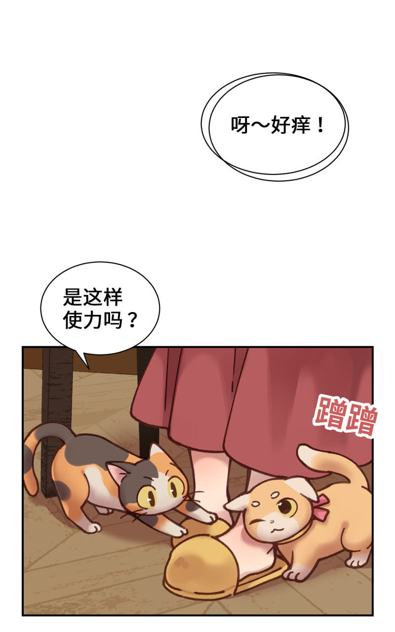 第5杯『米米前辈喵！』-第7话