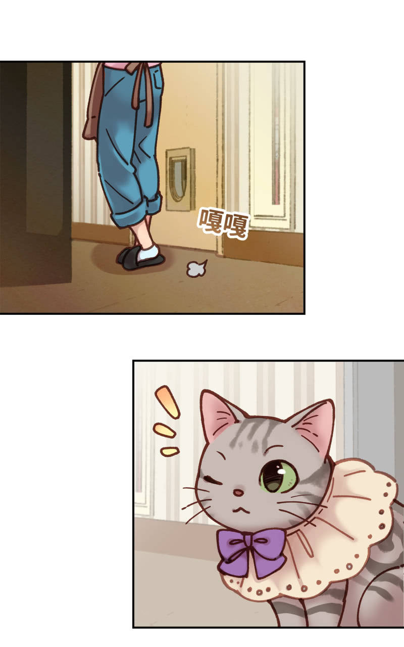 第5杯『米米前辈喵！』-第7话