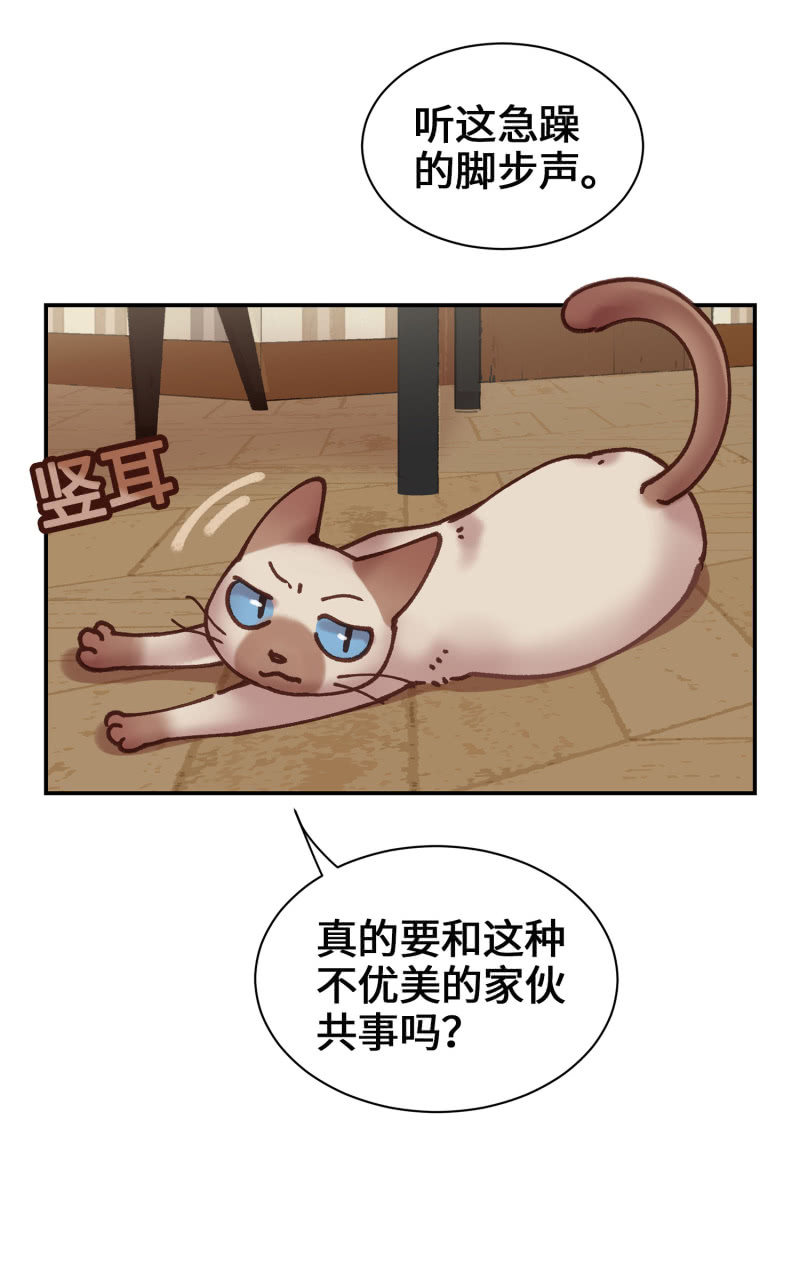 第5杯『米米前辈喵！』-第7话