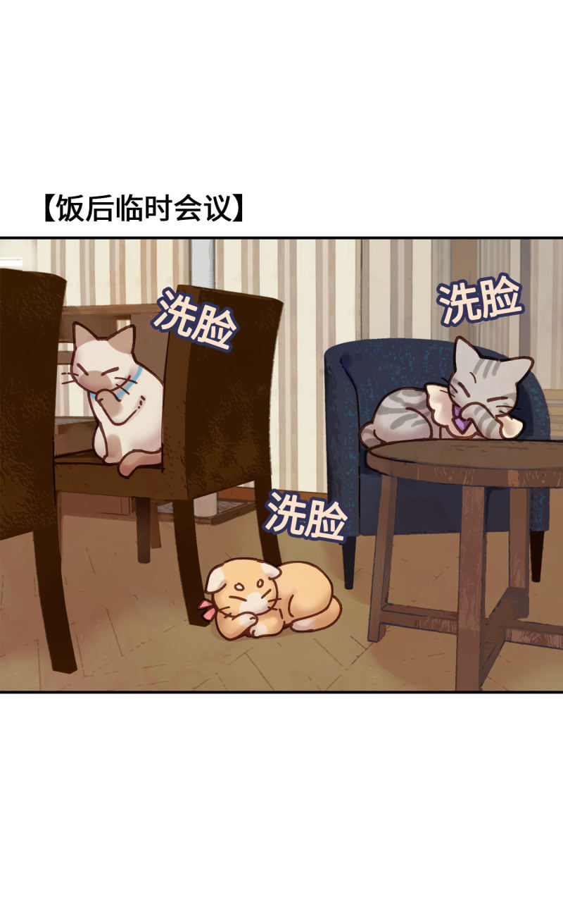 第5杯『米米前辈喵！』-第7话