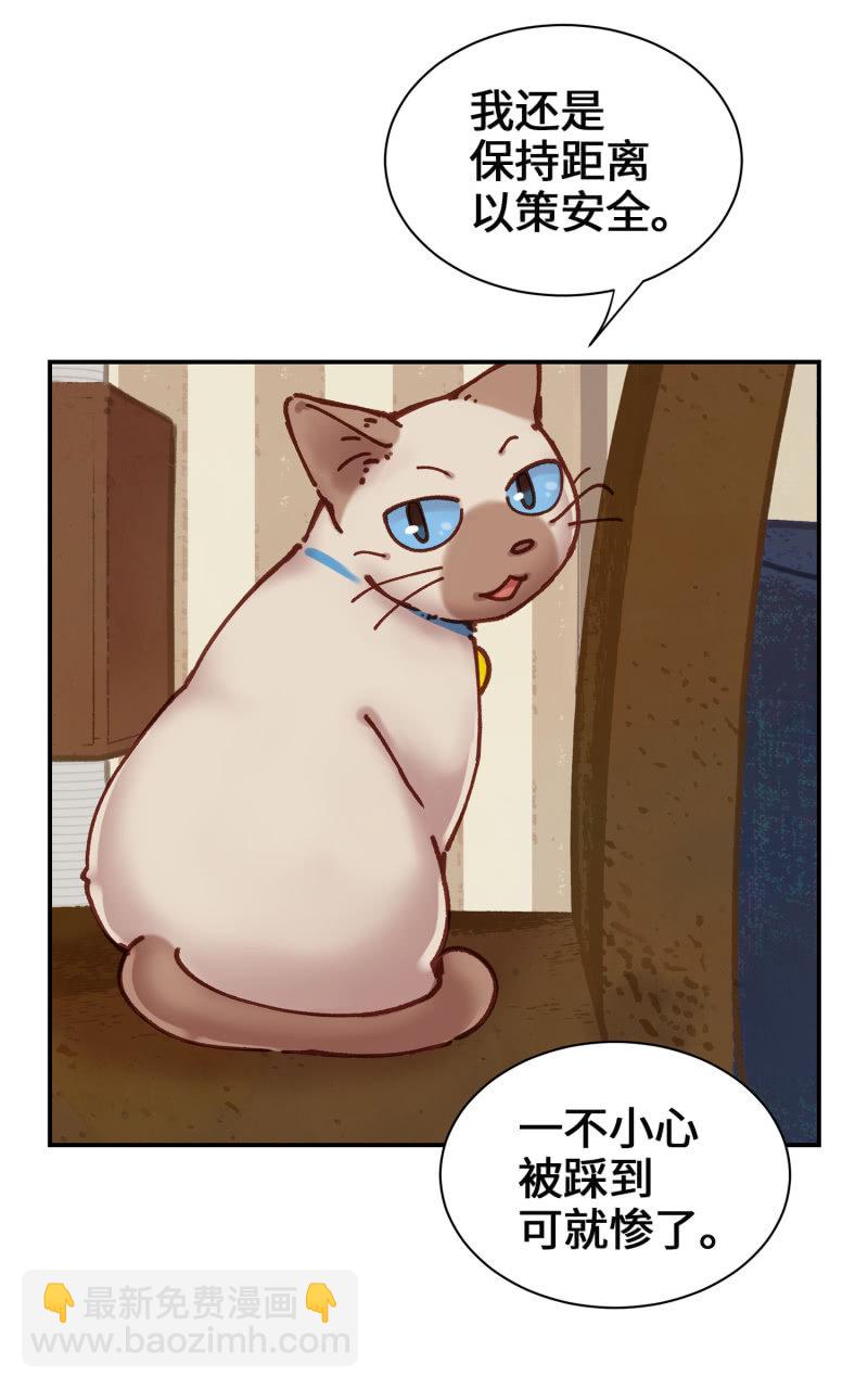 第5杯『米米前辈喵！』-第7话