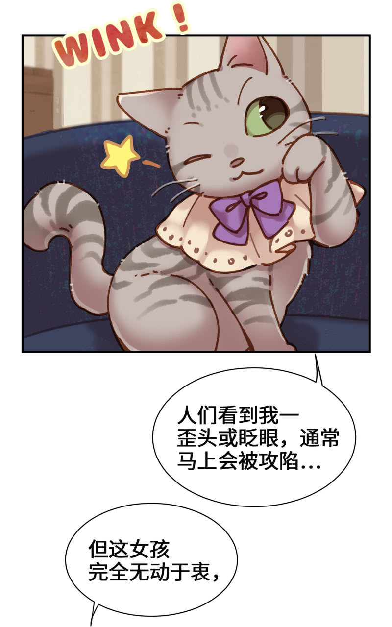 第5杯『米米前辈喵！』-第7话