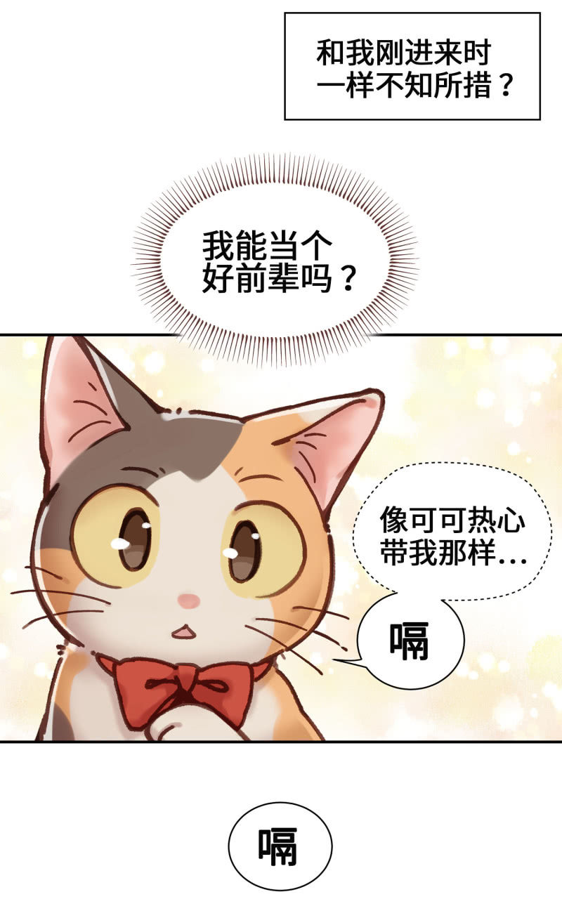 第5杯『米米前辈喵！』-第7话