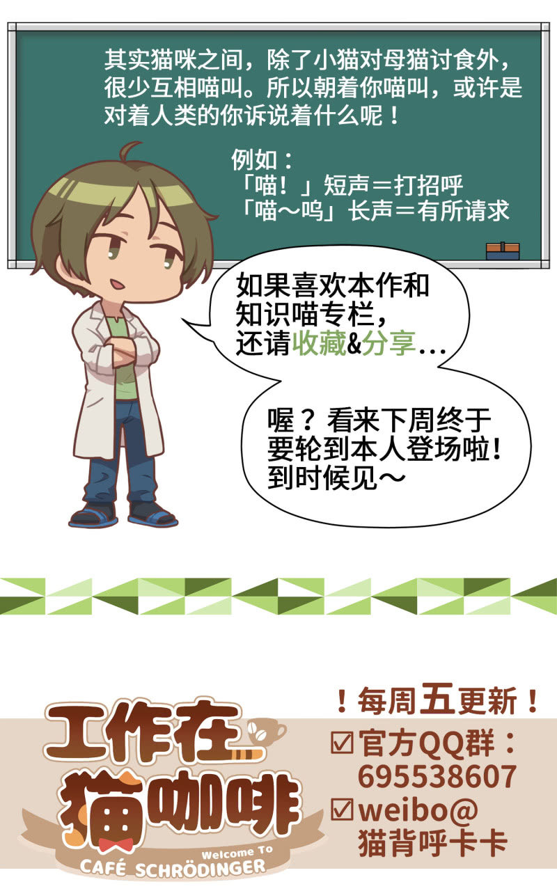 第5杯『米米前辈喵！』-第7话