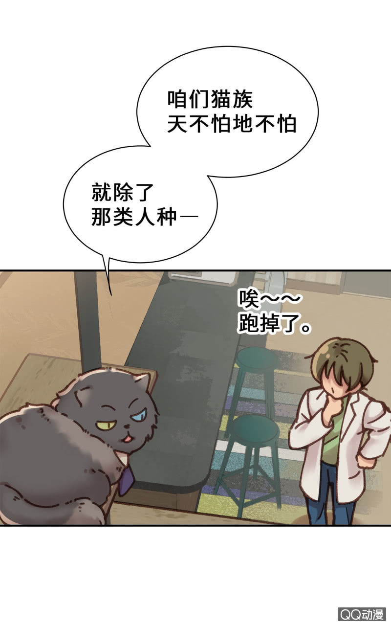 第7杯『没来由的担心』(1/2)-第9话