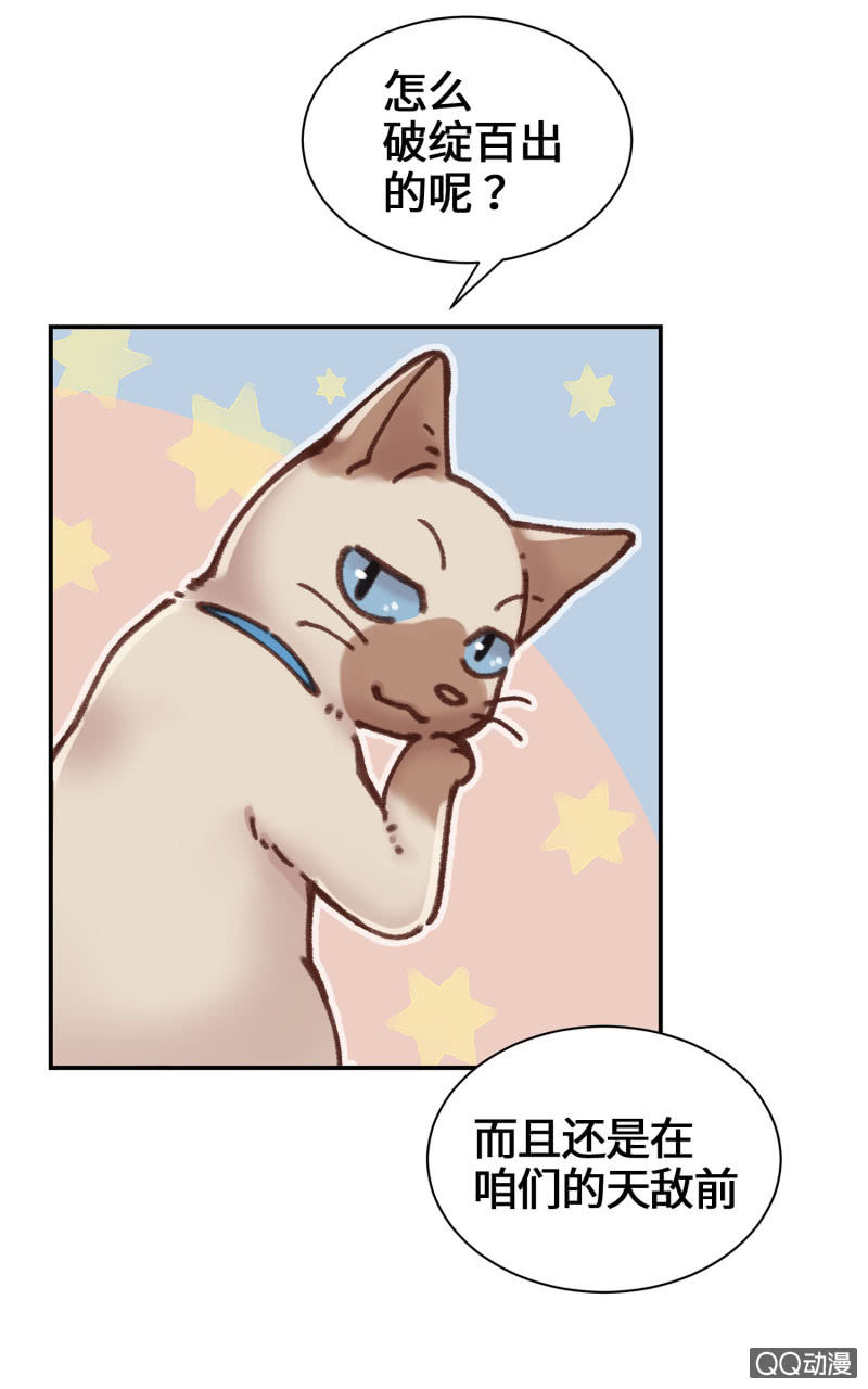 第7杯『没来由的担心』(1/2)-第9话