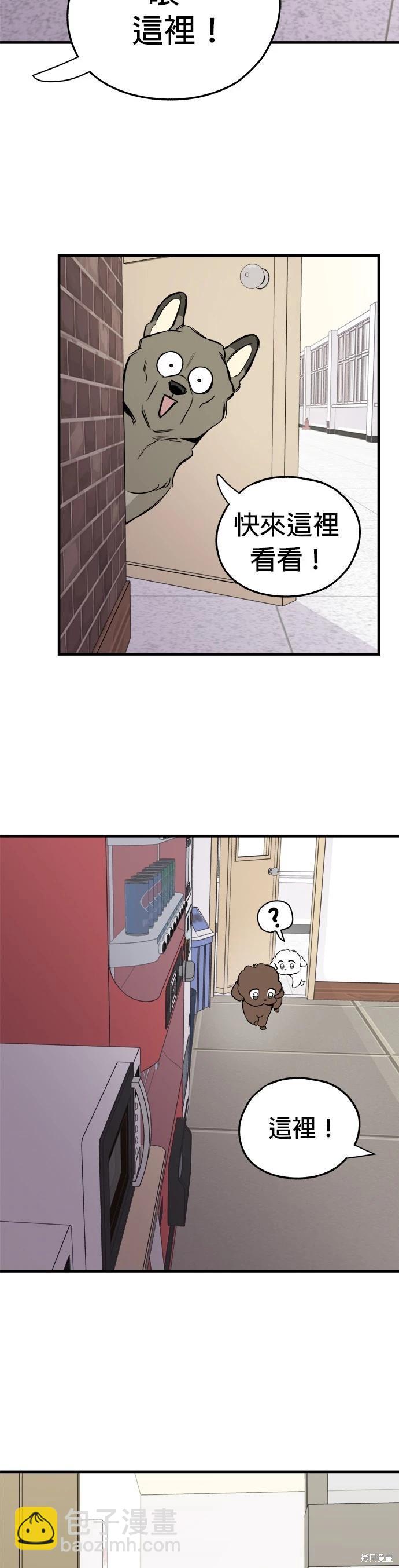 狗狗末日生存法 - 第13話 - 1