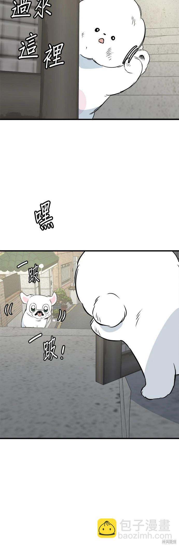 狗狗末日生存法 - 第24話(1/2) - 6