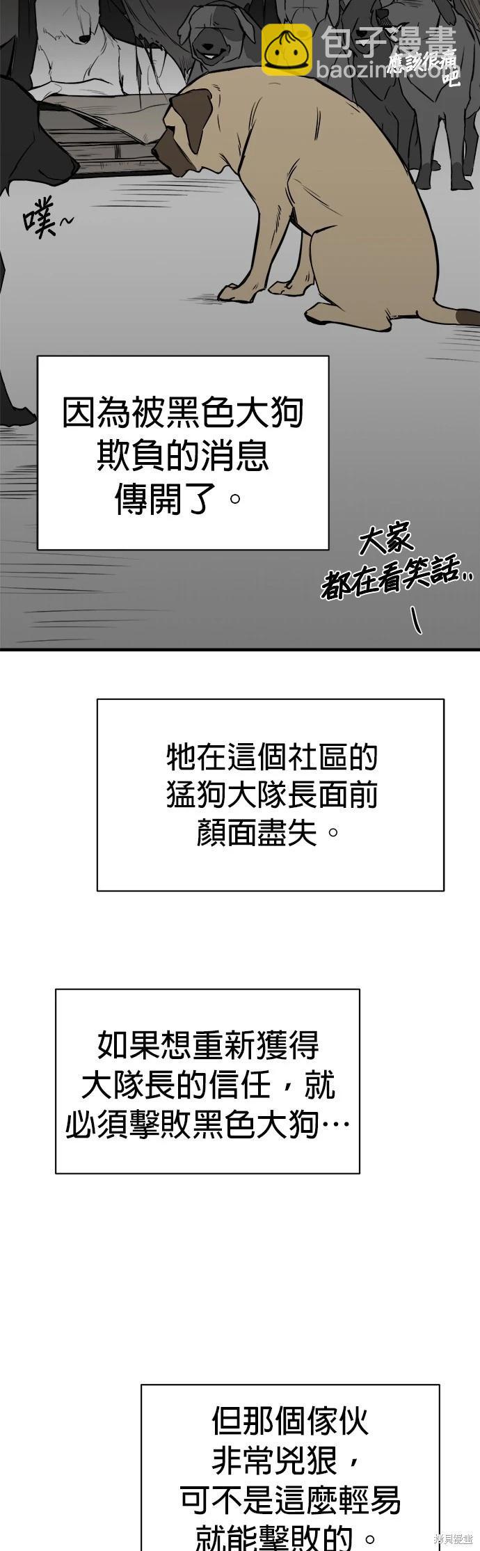 狗狗末日生存法 - 第9話(1/2) - 7