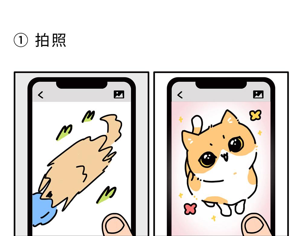 狗狗还是猫咪？选一个吧！-第1话