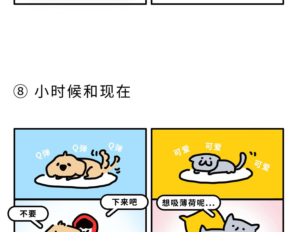 狗狗还是猫咪？选一个吧！-第1话