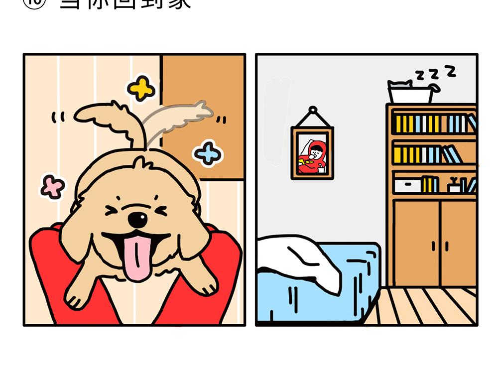 狗狗还是猫咪？选一个吧！-第1话