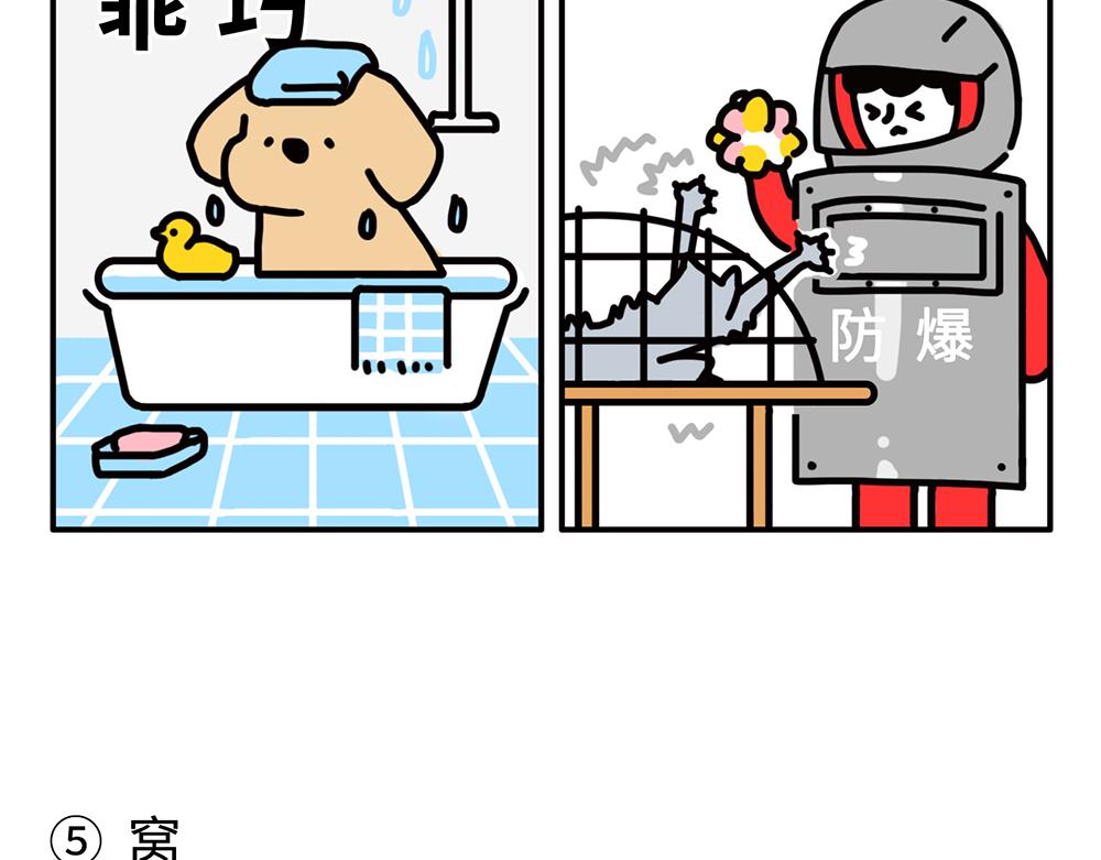 狗狗还是猫咪？选一个吧！-第1话