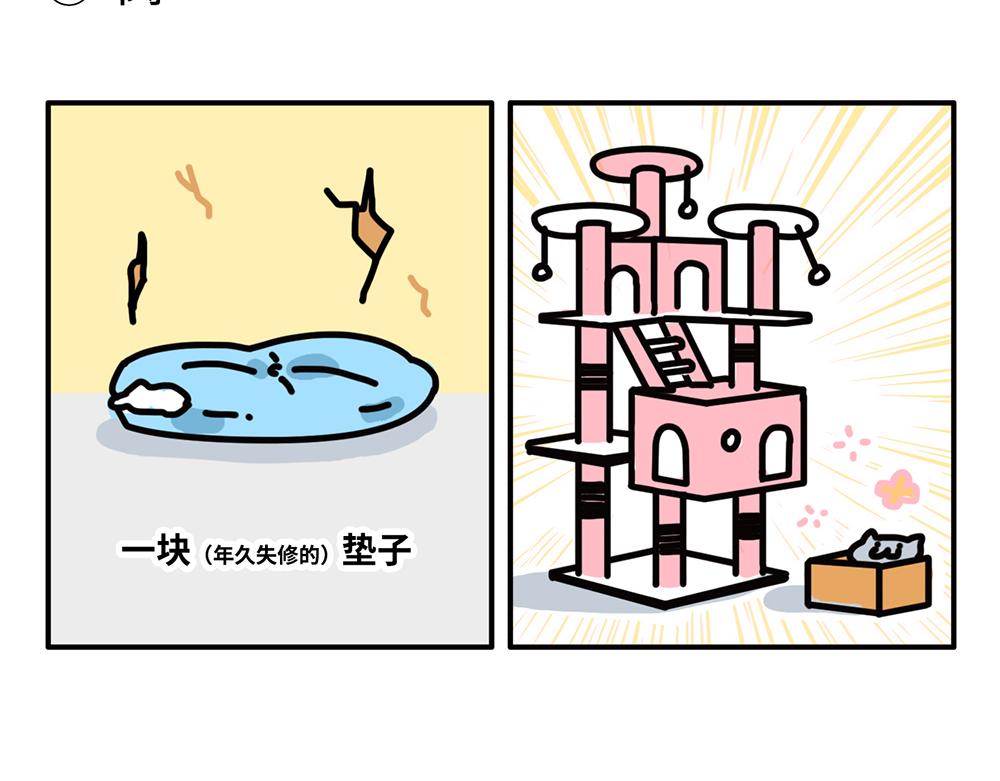 狗狗还是猫咪？选一个吧！-第1话