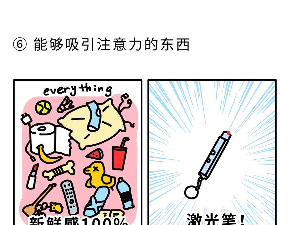 狗狗还是猫咪？选一个吧！-第1话