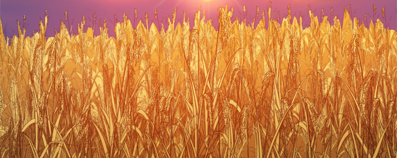 第七十八话(1/3)-第79话