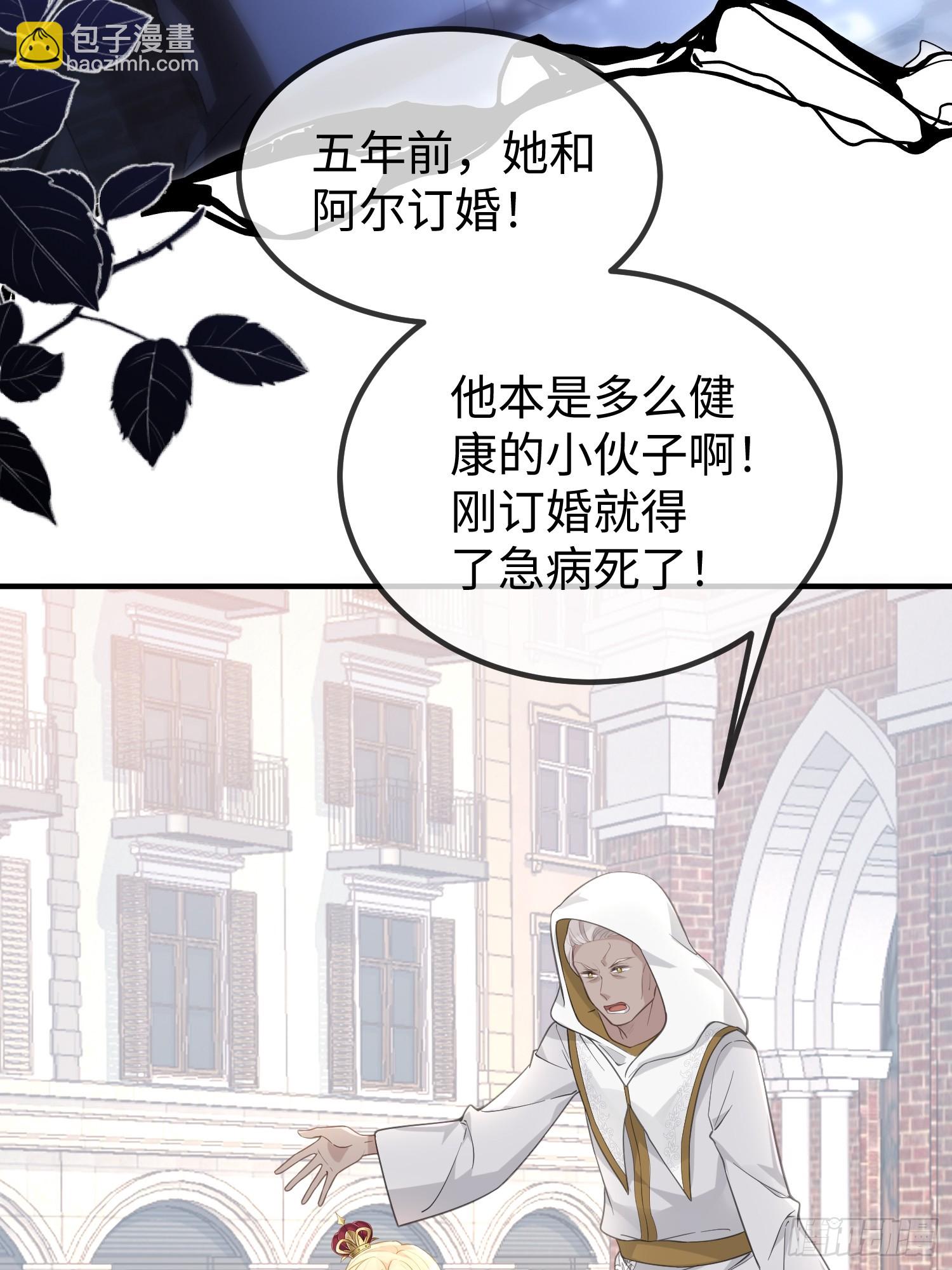 01 寡妇王妃(1/2)-第1话