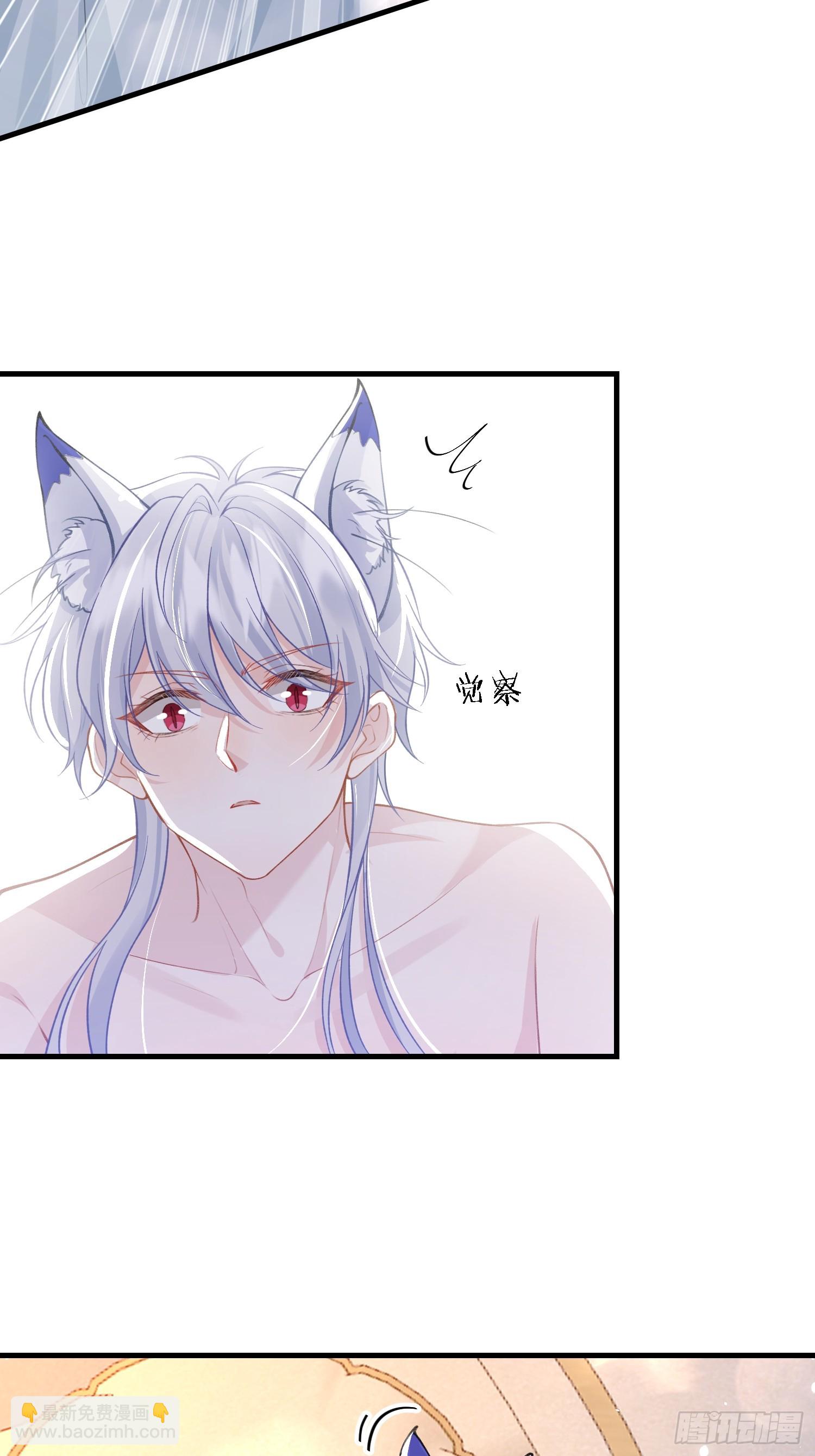 11 猫妖化人？-第11话