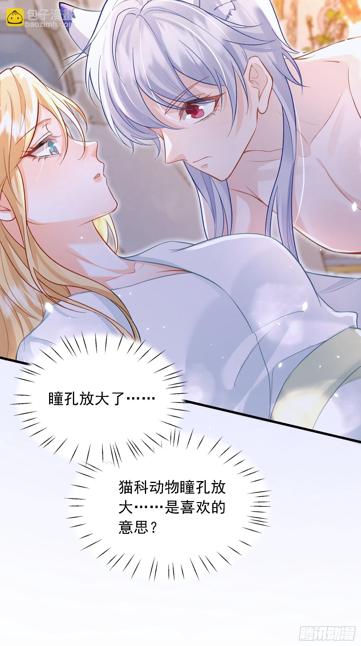 11 猫妖化人？-第11话