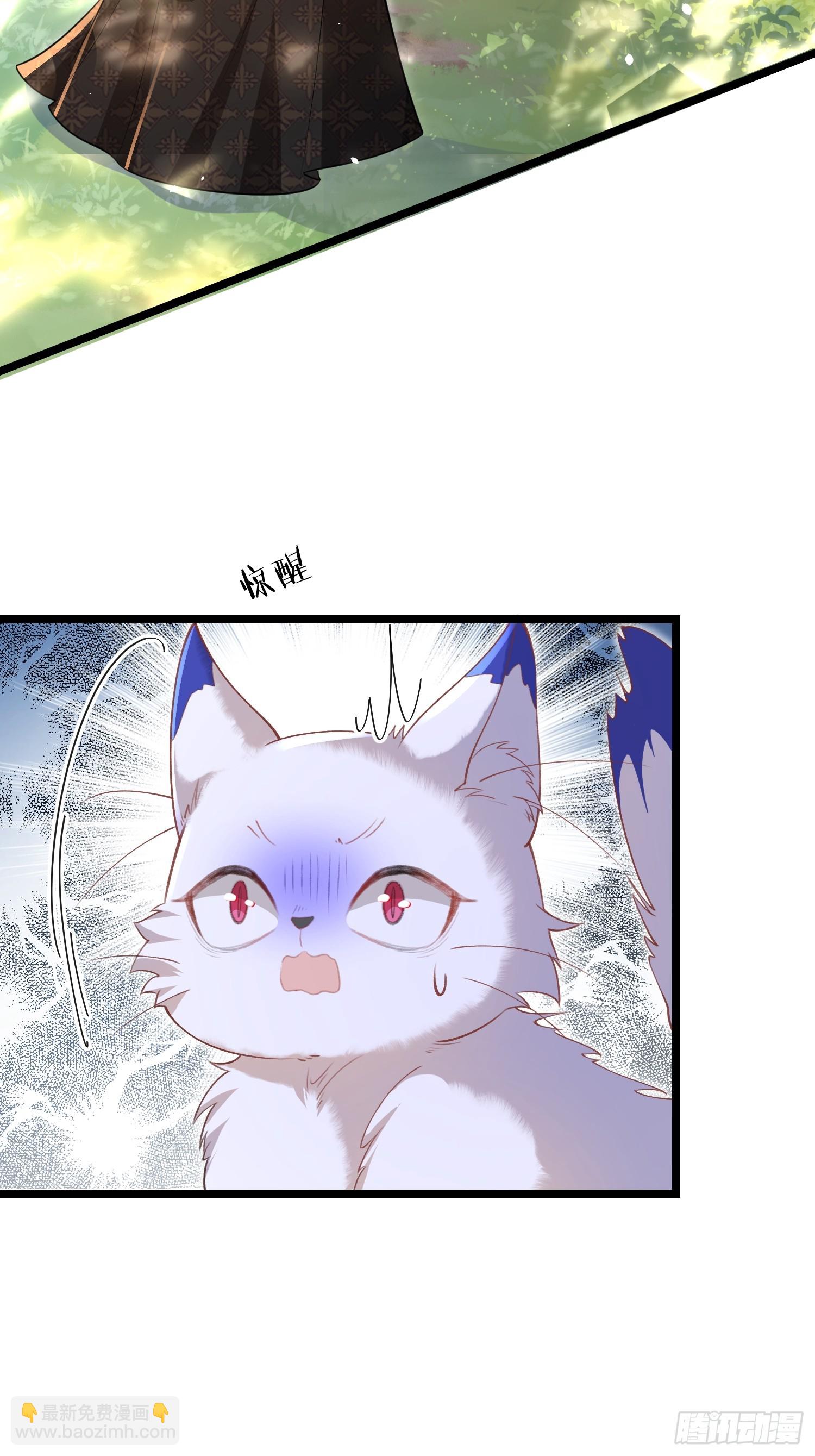 09 猫的梦境-第9话