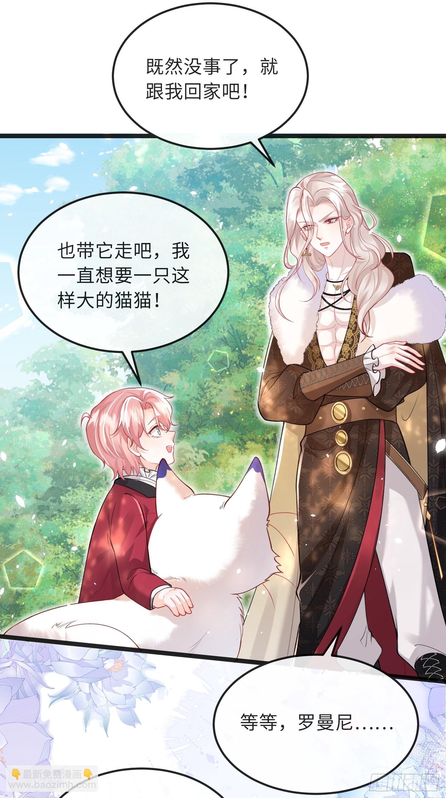 09 猫的梦境-第9话