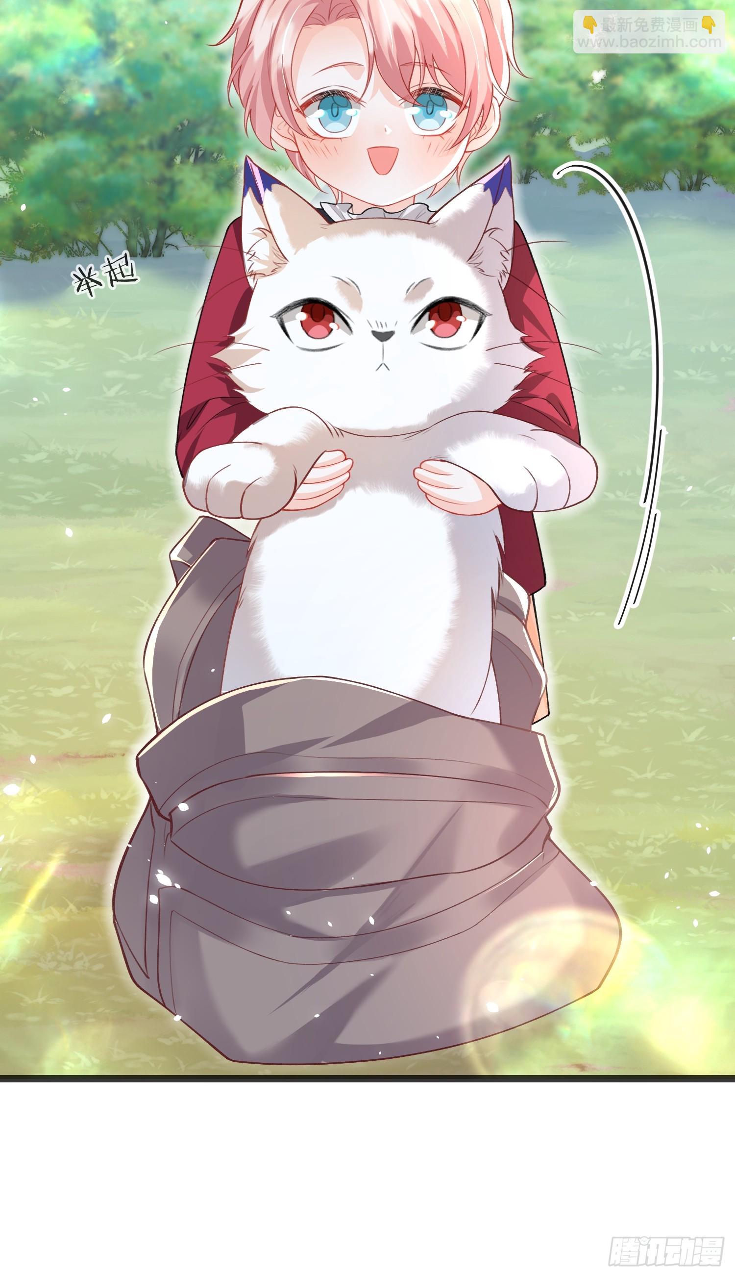 09 猫的梦境-第9话