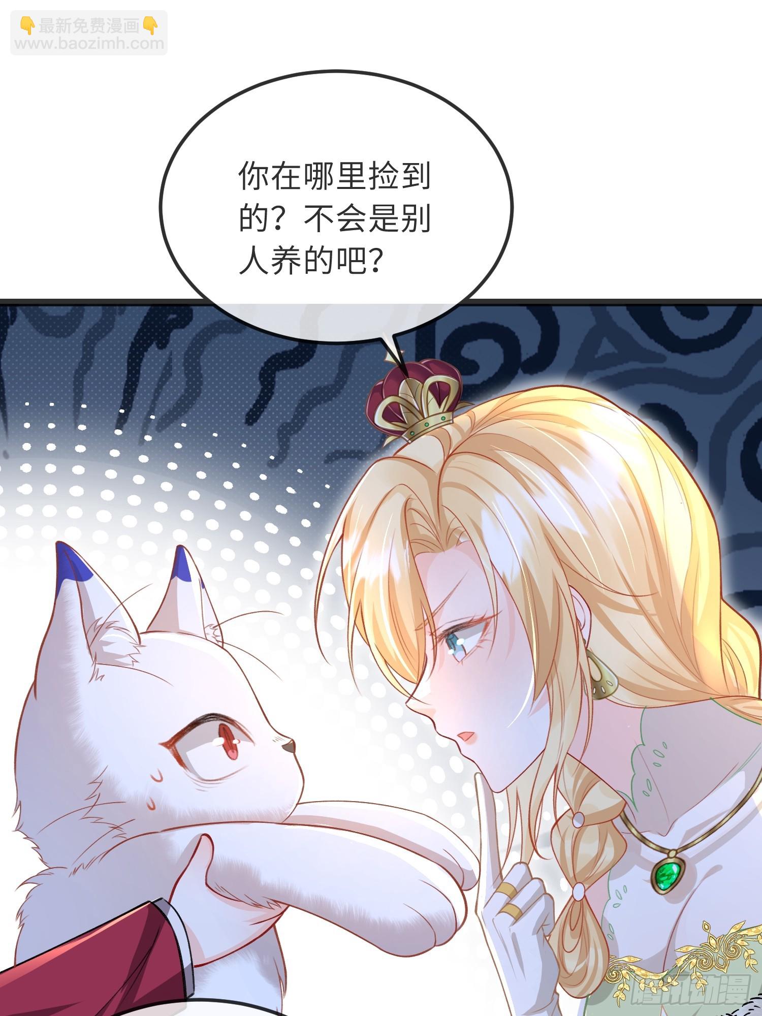 09 猫的梦境-第9话