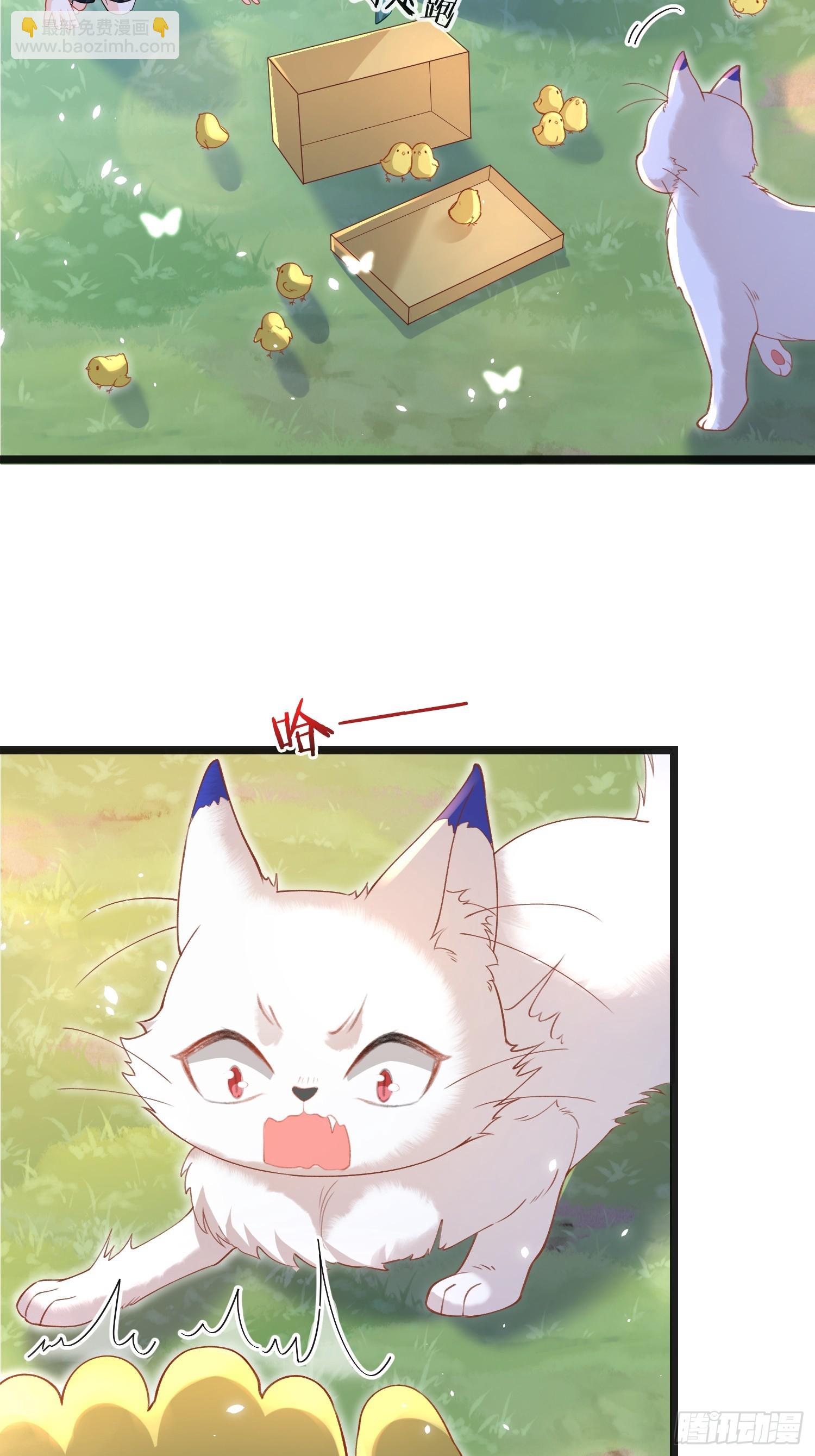 09 猫的梦境-第9话